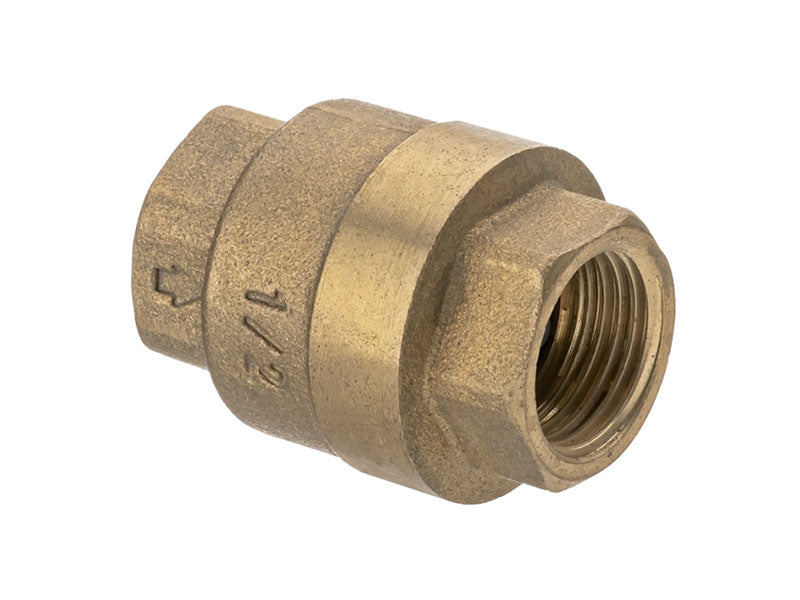 Female Iron Non Return Valve