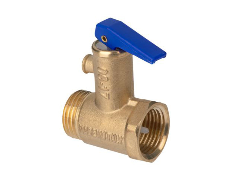 1/2" Combined Safety & Non-Return Valve