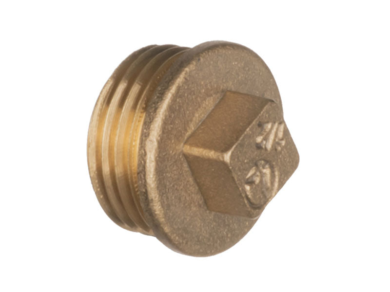 Threaded Brass Blanking Plug