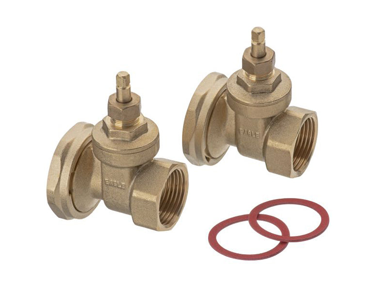 Female Iron Gate Type Pump Valves (supplied in pairs)