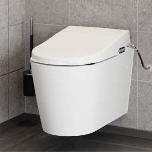 Bidet & Ergonomic Toilet Seats