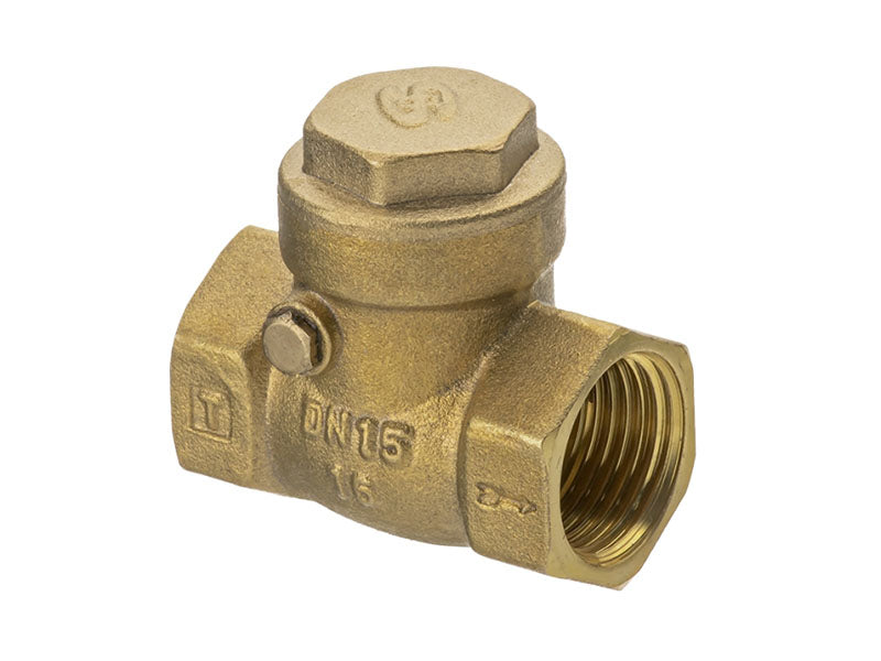 Female Iron Swing Check Valve